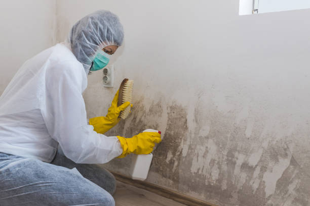 Crawl Space Mold Removal in St Clair, MO