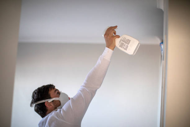Best Emergency Mold Removal  in St Clair, MO