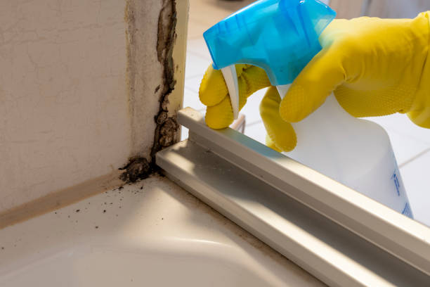 Best Attic Mold Removal  in St Clair, MO