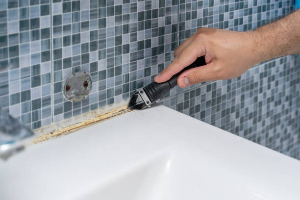 Best Commercial Mold Removal  in St Clair, MO
