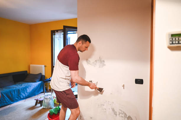 Best Office Mold Removal Services  in St Clair, MO